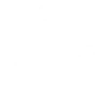 icône service