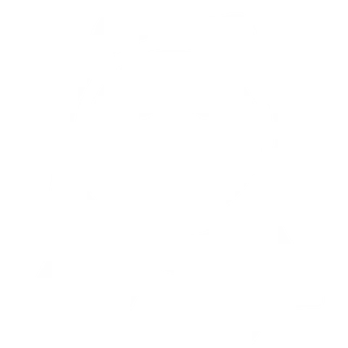 icône expertise