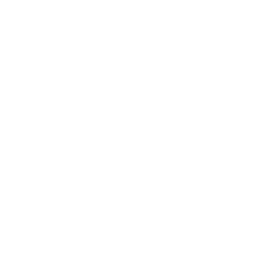icône expertise